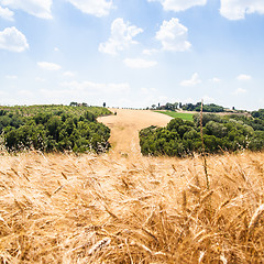 Image showing Country in Tuscany