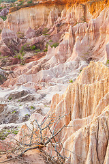 Image showing Marafa Canyon - Kenya