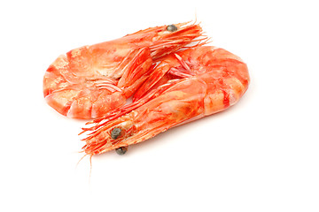 Image showing Shrimp pair