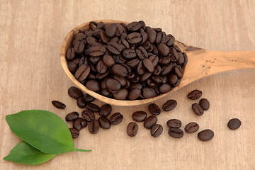 Image showing Coffee Beans 