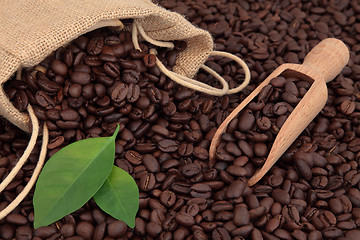 Image showing Coffee Beans