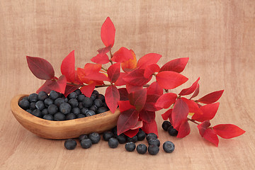 Image showing Blueberry Fruit