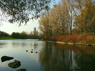 Image showing Autumn in Bonn