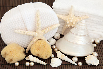 Image showing Sea Shell Spa