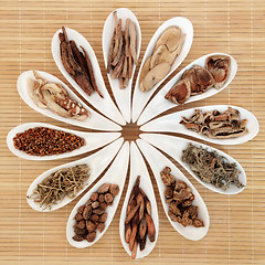 Image showing Chinese Herb Selection