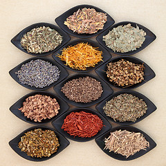 Image showing Magical and Mediicinal Herbs  