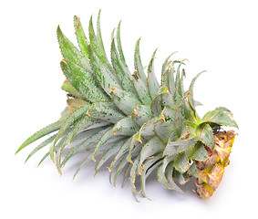 Image showing pineapple