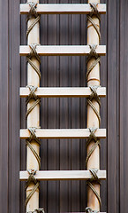 Image showing Bamboo Ladder
