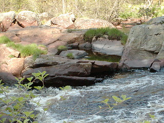 Image showing Swedish Nature