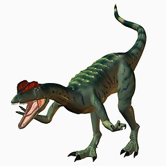 Image showing Dilophosaurus