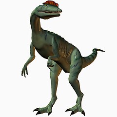 Image showing Dilophosaurus