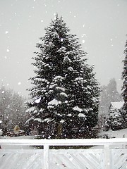 Image showing December snow