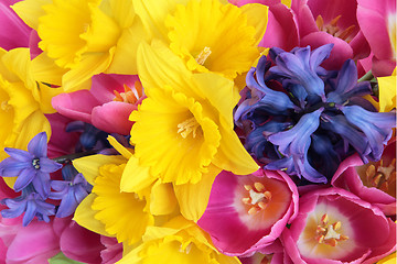 Image showing Spring Flowers