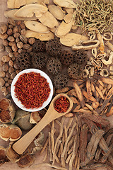 Image showing Traditional Chinese Medicine