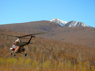 Image showing Helicopter ride above forest wilderness