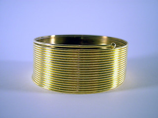 Image showing spring bracelet