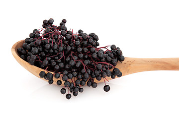 Image showing Elderberry Fruit