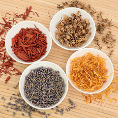 Image showing Herb and Spice Selection