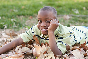 Image showing Young African American Boy Playing in the Park