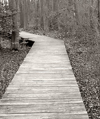 Image showing Boardwalk