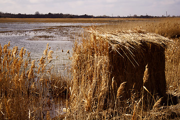 Image showing Duck Blind