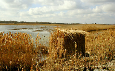 Image showing Duck Blind