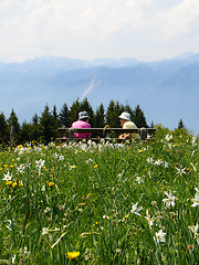 Image showing Summer day in mountains