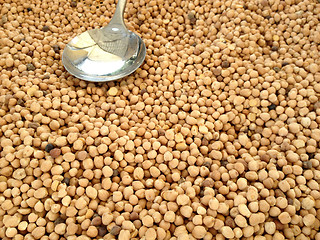 Image showing chickpea