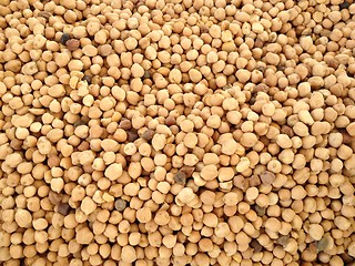 Image showing chickpea 