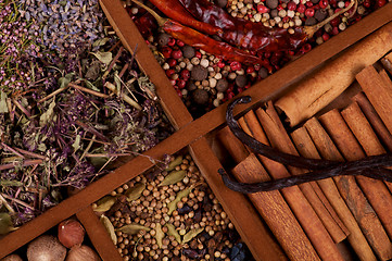 Image showing Cinnamon Sticks, Vanilla Pods and Spices