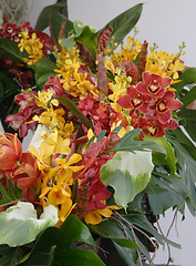 Image showing Flowers