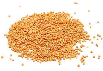 Image showing Whole mustard seeds