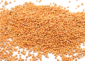 Image showing Expanse of whole mustard seeds