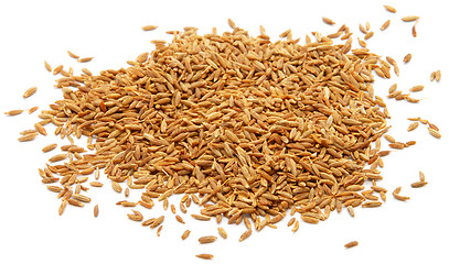 Image showing Whole cumin seeds