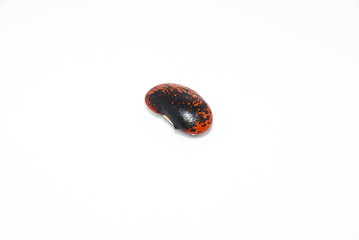 Image showing Single runner bean seed