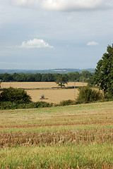 Image showing British landscape at harvest time