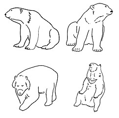 Image showing Bears