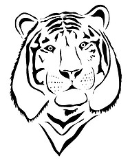 Image showing White tiger
