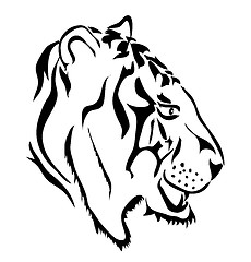 Image showing White tiger