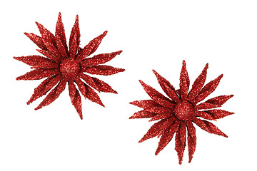 Image showing Christmas decoration flower