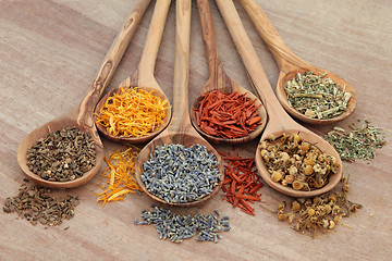 Image showing Naturopathic Herbs