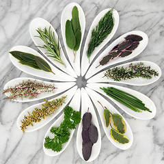 Image showing Herbs