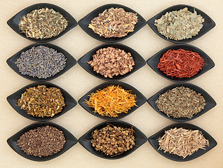 Image showing Medicinal and Magical Herbs