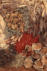 Image showing Chinese Herbal Medicine