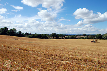 Image showing Barley field after harvest time