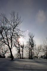 Image showing Winter landscape