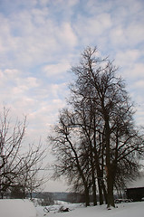 Image showing Winter landscape