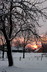 Image showing Winter landscape