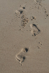 Image showing Footprints