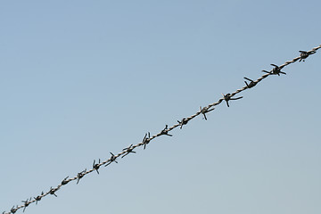 Image showing Barbed wire